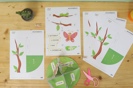 Butterfly Metamorphosis Printable Activity!