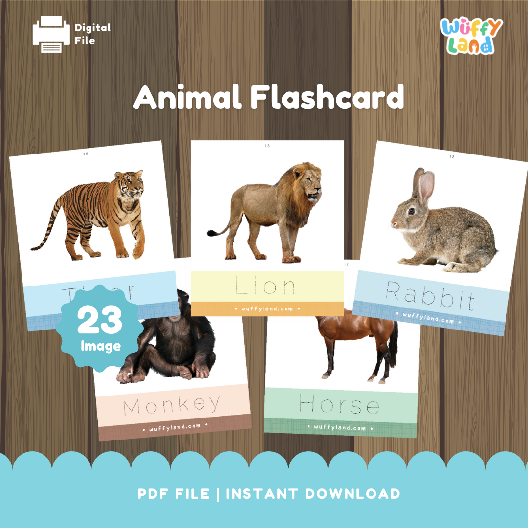 Animal Word
