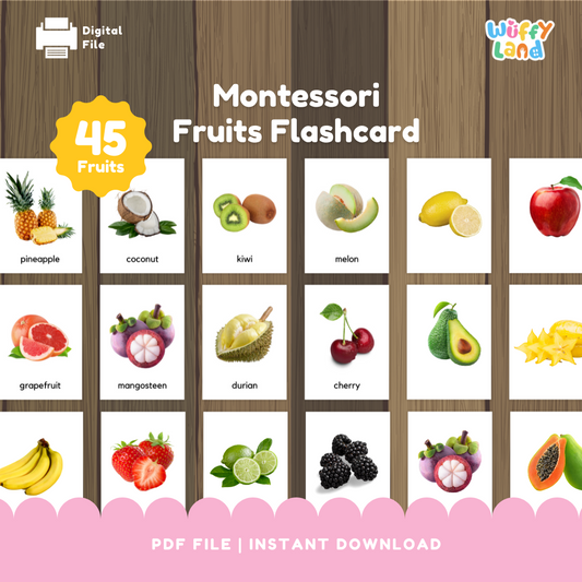 45 Montessori Fruit Flashcard, real image, Toddler & Preschool Educational Mater
