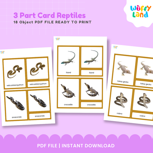 3 Part Cards Reptiles Montessori Printable - Animal Identification & Vocabulary Activity
