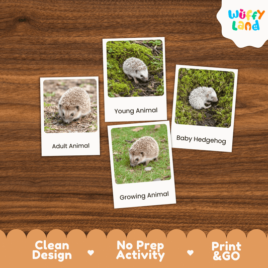 Hedgehog Life Cycle Montessori 3-Part Cards - Science Zoology Mammal Flashcards