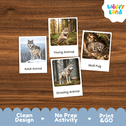 Wolf Life Cycle Montessori 3-Part Cards - Science Zoology Mammal Flashcards