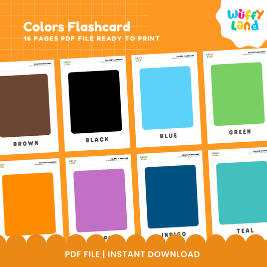 Color Flashcard