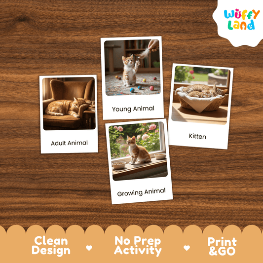 Cat Life Cycle Montessori 3-Part Cards - Science Zoology Mammal Flashcards