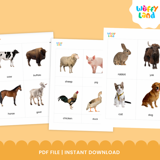 Flashcards Farm Animals Vocabulary Photo Picture Cards Montessori 3 Part Card