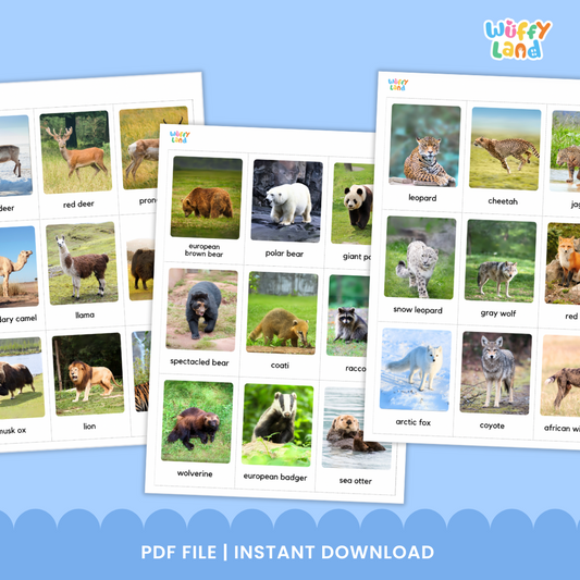 Mammal Animal Flashcards for Science Classes