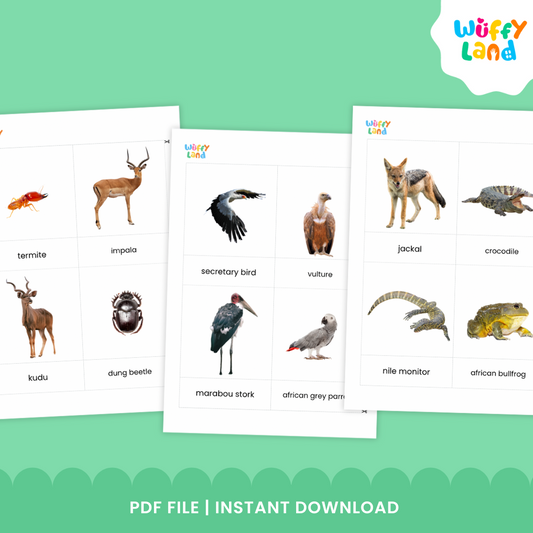 African Safari 58 Animal Montessori 3 Part Cards Print and Go
