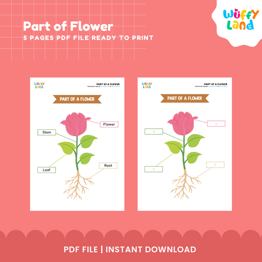 Parts of a Flower Worksheet - Labeling & Cut and Paste Activity - Plant Science for Kids