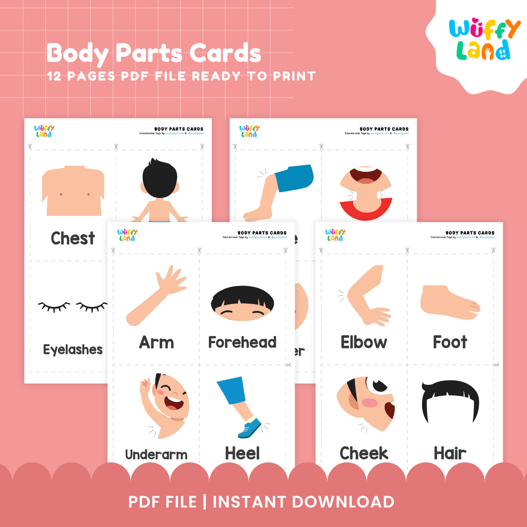 Body Parts Cards