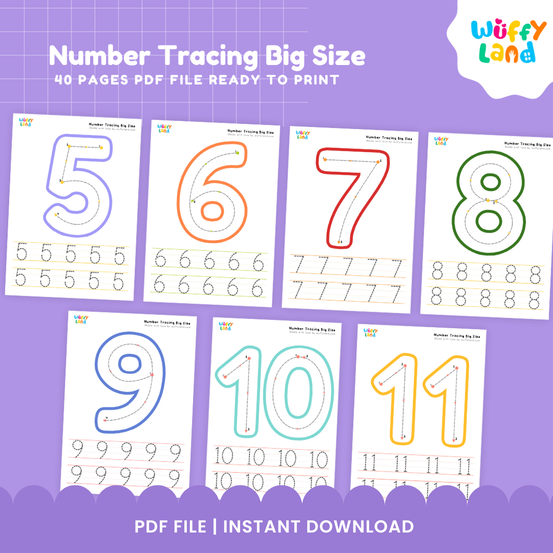 Number Tracing Big Size