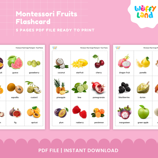 45 Montessori Fruit Flashcard, real image, Toddler & Preschool Educational Mater