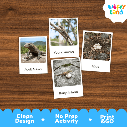 Komodo Dragon Life Cycle Montessori 3-Part Cards - Science Zoology Reptile