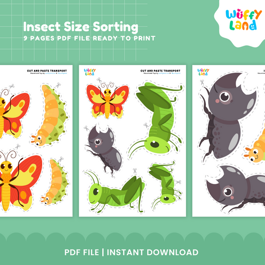 Insect Size Sorting – Compare, Sort, and Learn Sizes