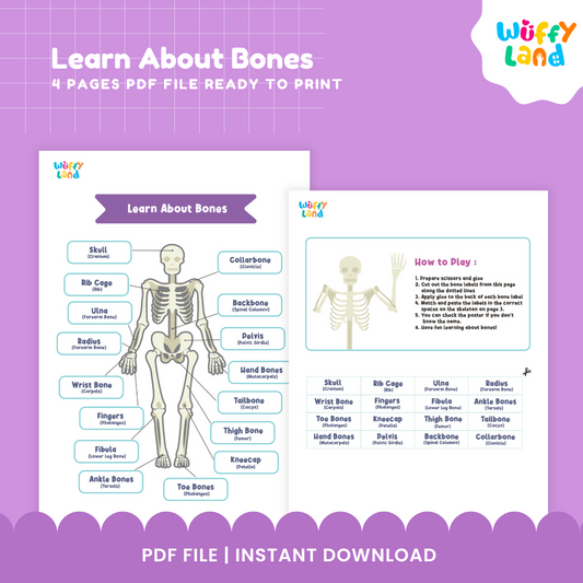 Learn About Bones - Human Skeleton Labeling Activity - Fun Science Worksheets