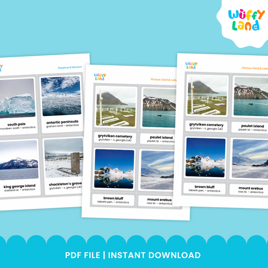 Antarctica Landmarks 3 Part Cards - Montessori Geography Activity
