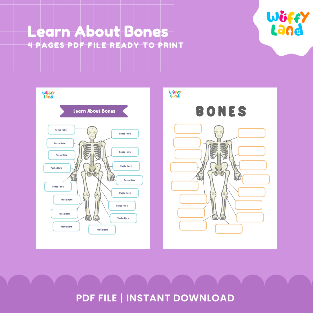 Learn About Bones - Human Skeleton Labeling Activity - Fun Science Worksheets