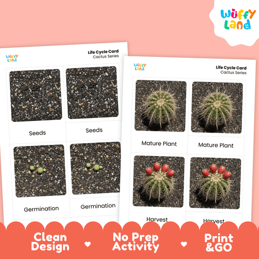 Cactus Life Cycle Montessori 3-Part Cards - Science Botany Flashcards