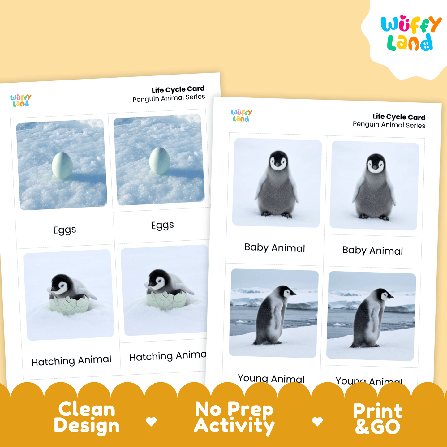 Penguin Life Cycle Montessori 3-Part Cards - Science Zoology Flashcards