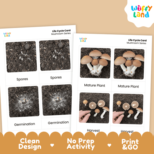 Mushroom Life Cycle Montessori 3-Part Cards - Science Botany Flashcards