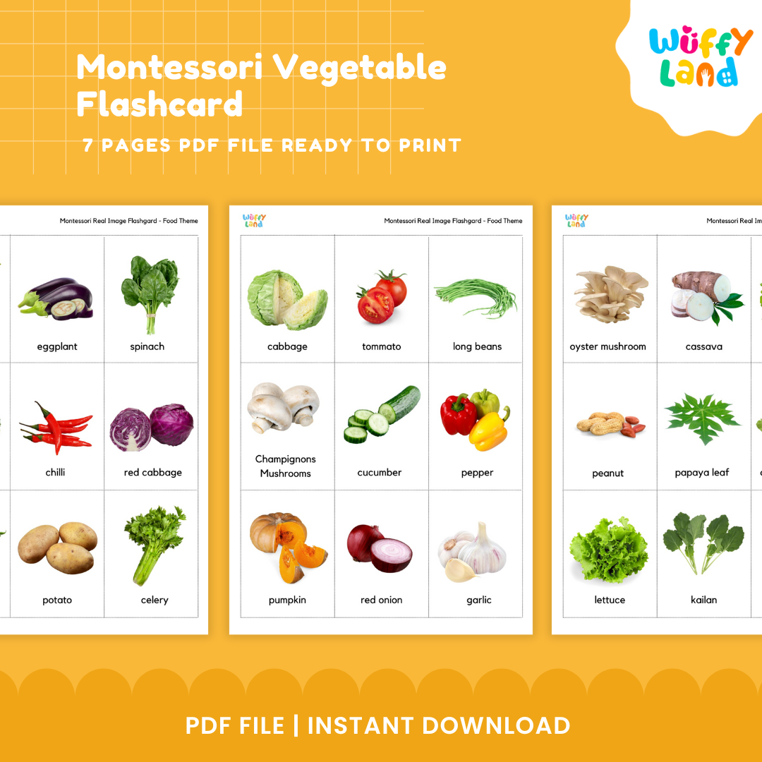 Montessori Vegetable Flashcards – Realistic Cards