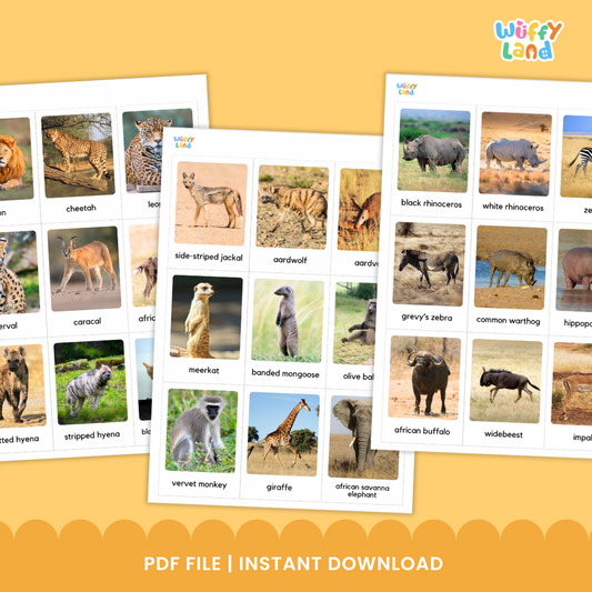 Savanna Animal Habitats Flashcards – 54 Animals with Real Photos