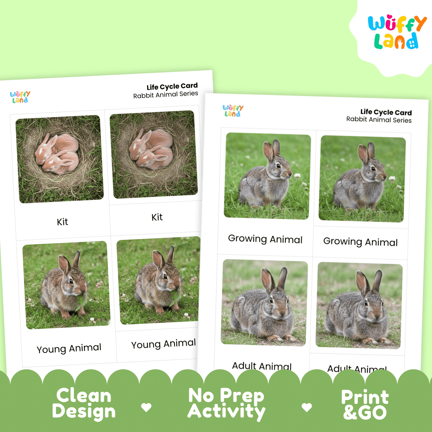 Rabbit Life Cycle Montessori 3-Part Cards - Science Zoology Flashcard