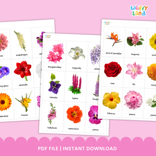 Types of Flowers Flashcards Vocabulary Cards Sped Autism Visuals Picture