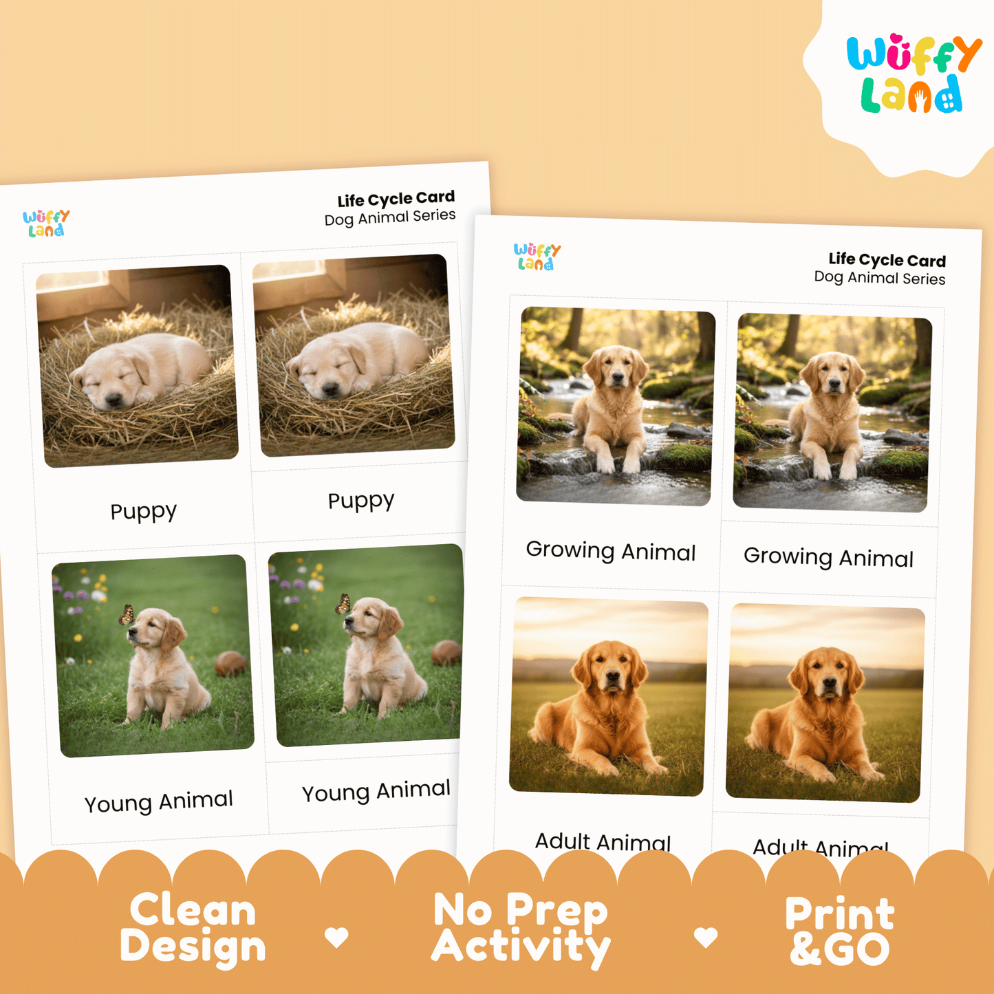 Dog Life Cycle Montessori 3-Part Cards - Science Zoology Mammal Flashcards