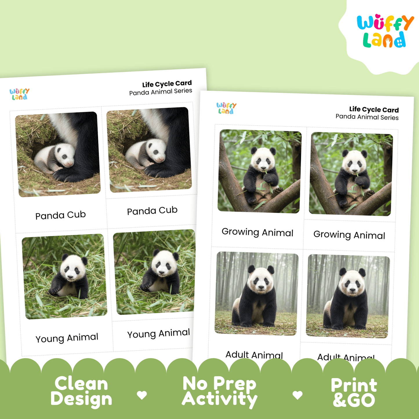 Panda Life Cycle Montessori 3-Part Cards - Science Zoology Mammal Flashcards