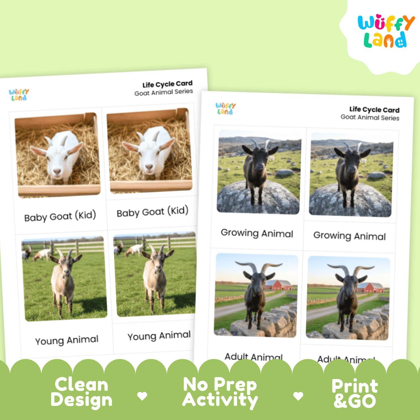 Goat Life Cycle Montessori 3-Part Cards - Science Zoology Flashcard