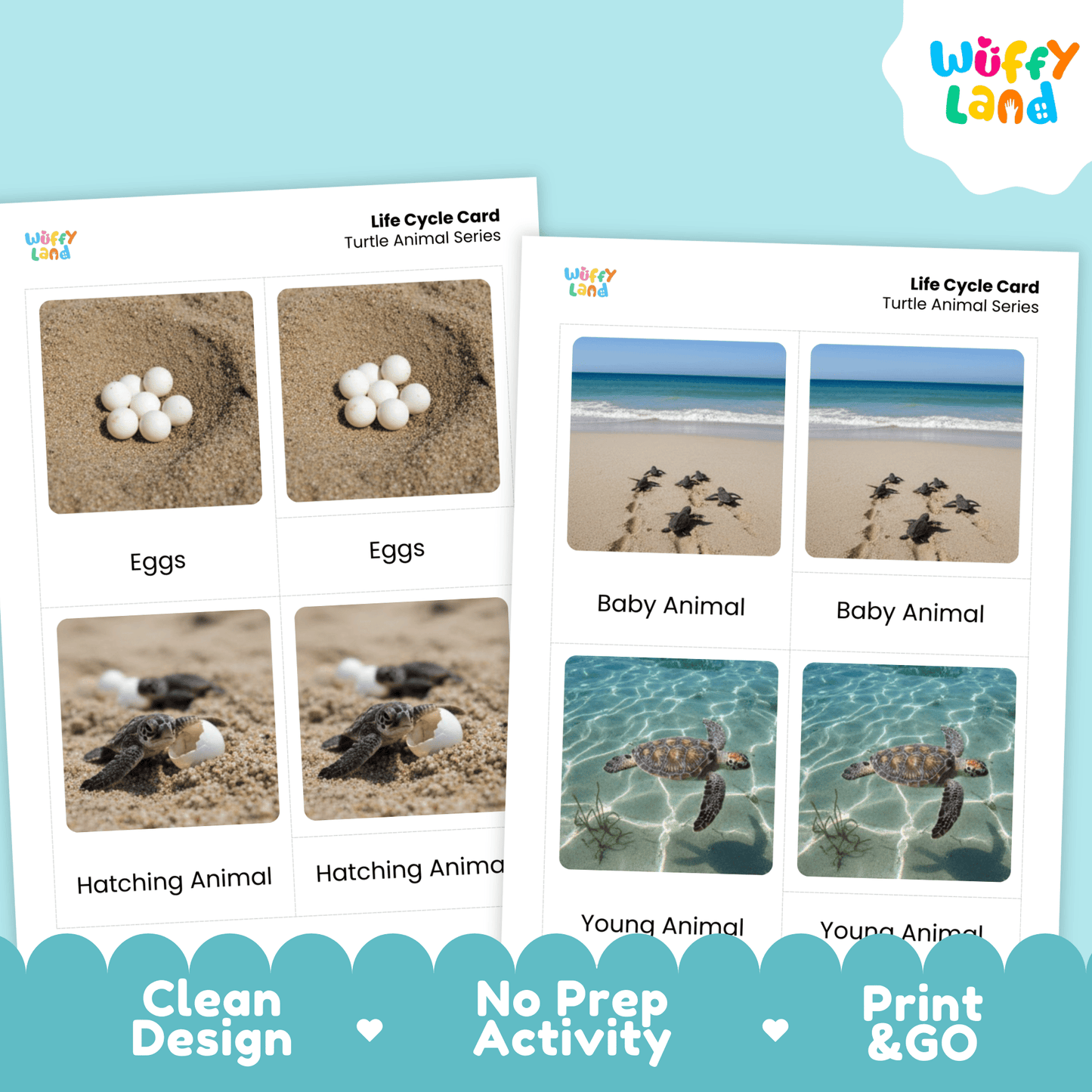 Turtle Life Cycle Montessori 3-Part Cards - Science Zoology Metamorphosis Flashcards