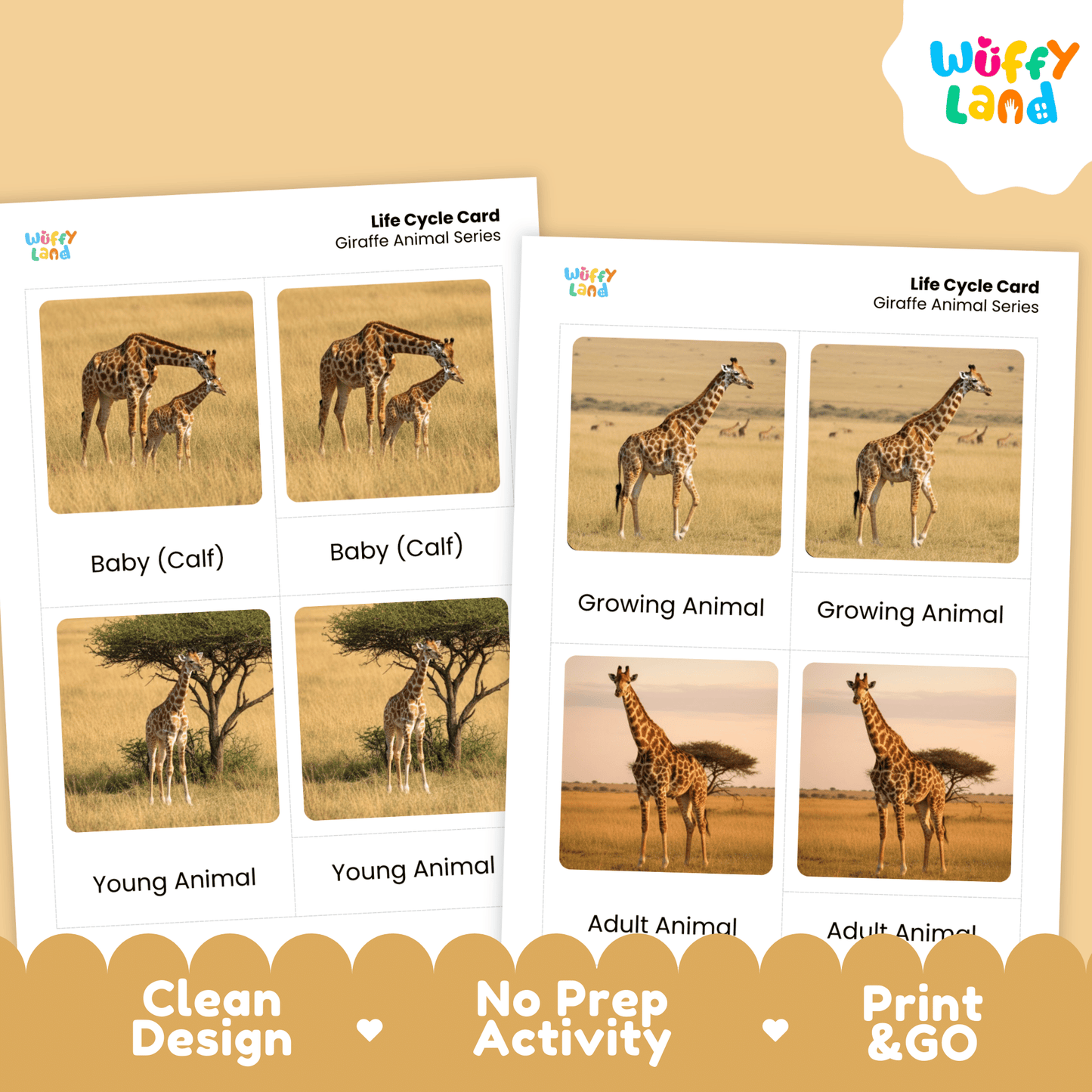 Giraffe Life Cycle Montessori 3-Part Cards - Science Zoology Flashcards