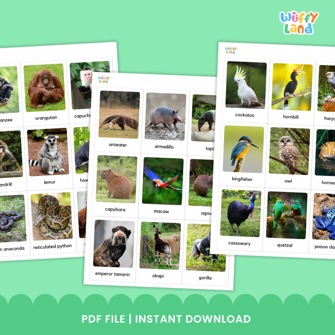 Kartu Flash Hewan Hutan - 54 Kartu Bahan Montessori yang Dapat Dicetak dengan Gambar Asli