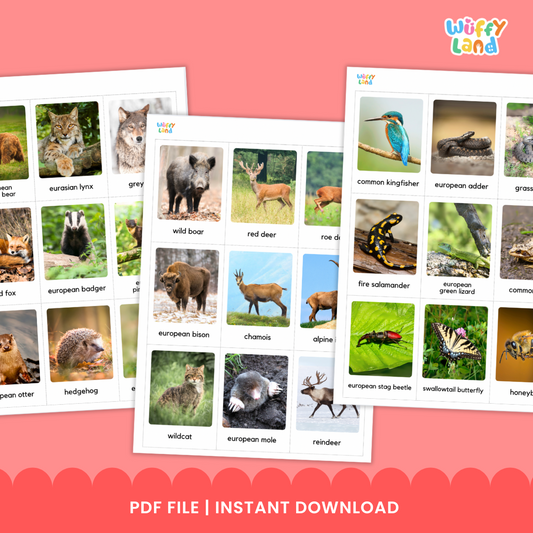 European Animals Vocabulary Cards Real Photo Flashcards (36 Animals)