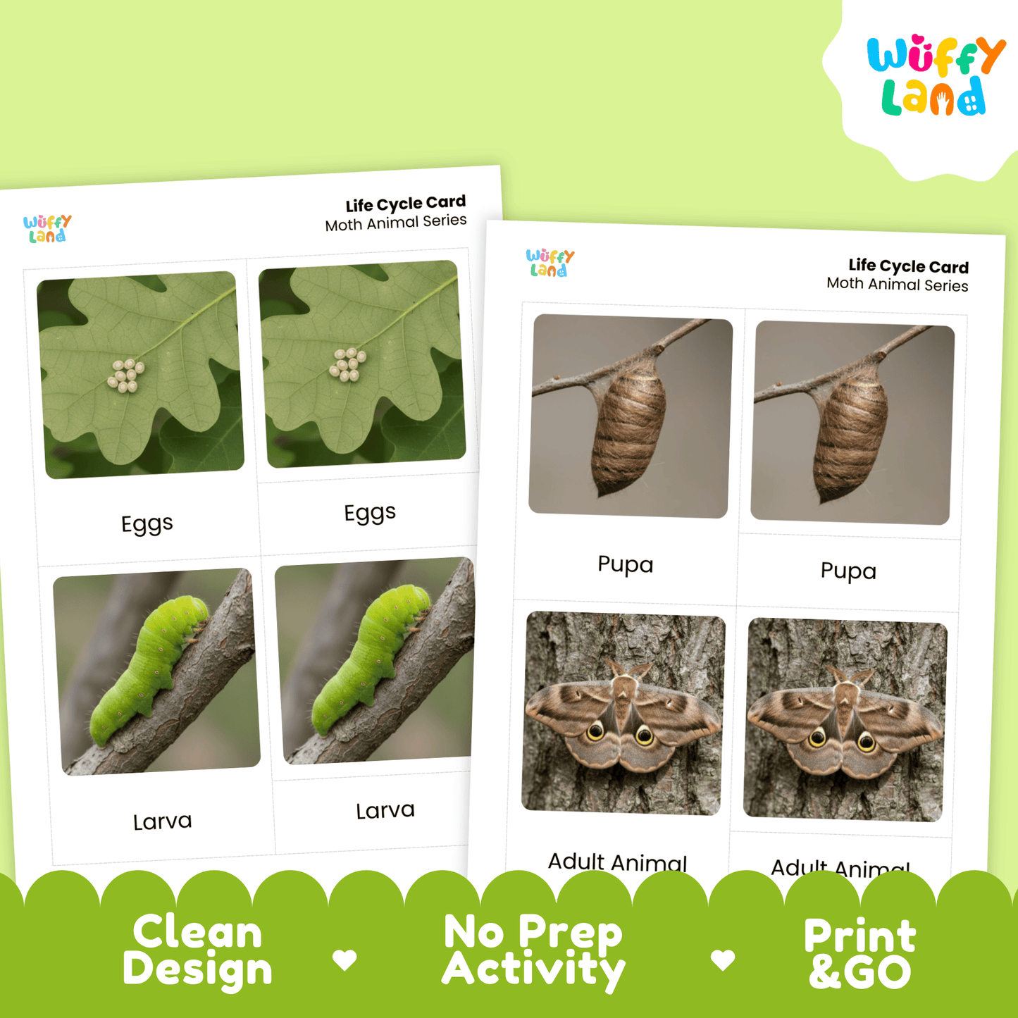 Moth Life Cycle Montessori 3-Part Cards - Science Zoology Flashcards