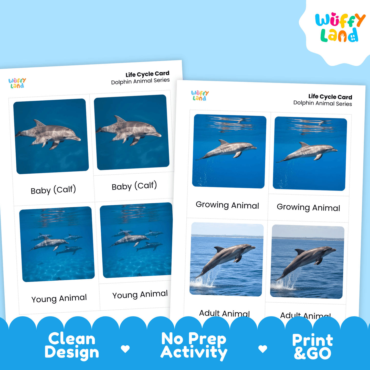 Dolphin Life Cycle Montessori 3-Part Cards - Science Zoology Flashcards