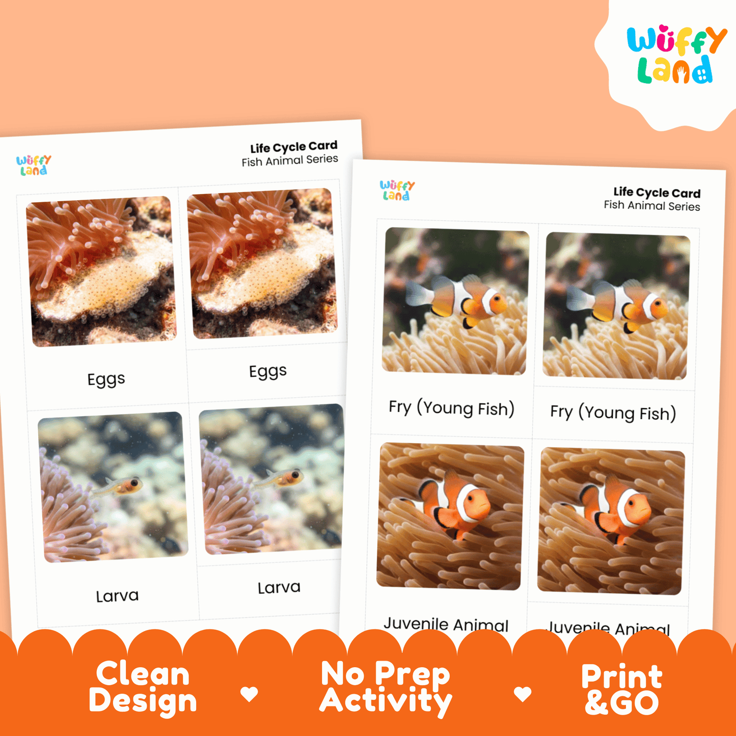 Fish Life Cycle Montessori 3-Part Cards - Science Zoology Marine Flashcards