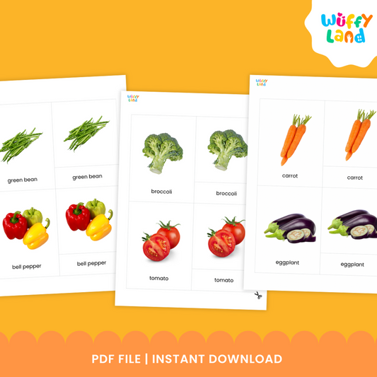 Vegetables Vocabulary Montessori Inspired 3 Part Card with Real Images