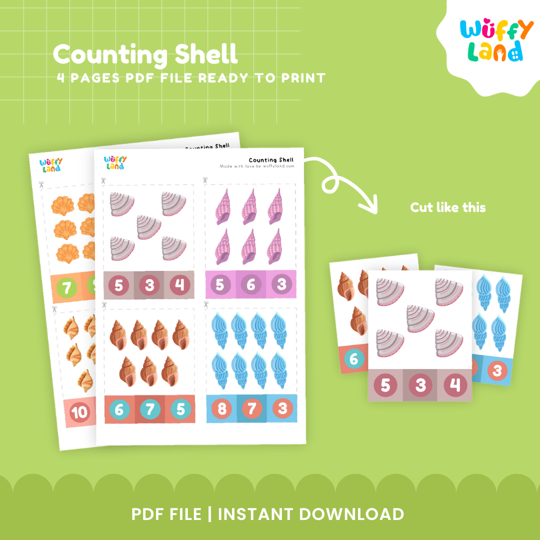 Counting Shell