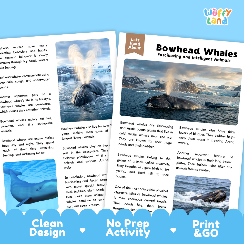 Bowhead Whale Reading Passage and Comprehension Questions Worksheets