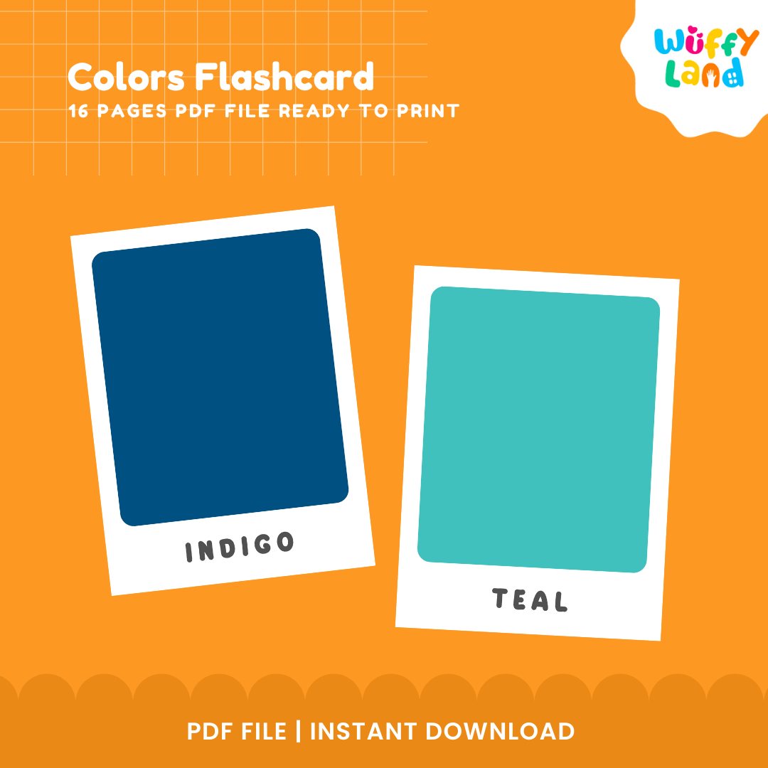 Color Flashcard
