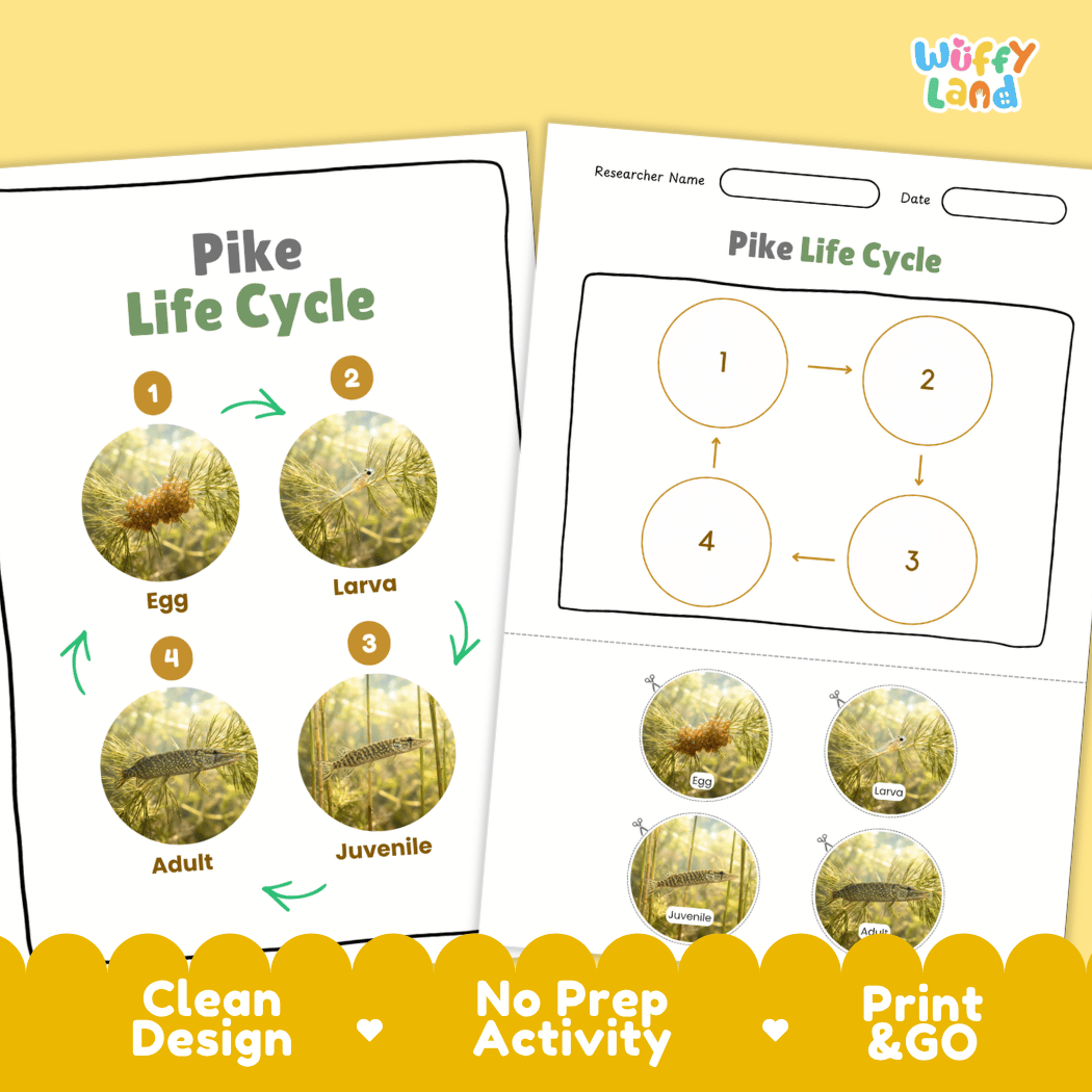 Pike Life Cycle Poster and Cut and Paste Worksheet Activity