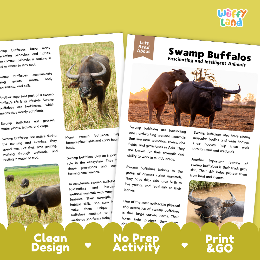 Swamp Buffalo Reading Passage and Questions Worksheets with Answer Key