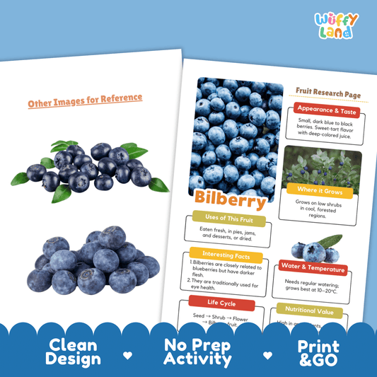 Bilberry Science Activity | Fruit Research Project | Biology | Nature Study