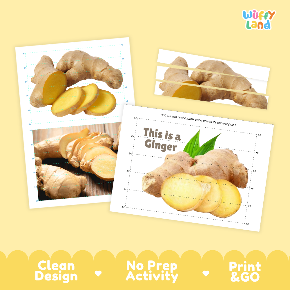 Ginger Cut and Match Activity Printable Set