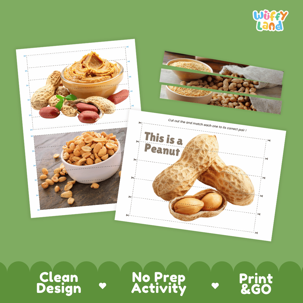Peanut Cut and Match Activity Worksheets | Nuts and Dried Fruits Puzzle Printables