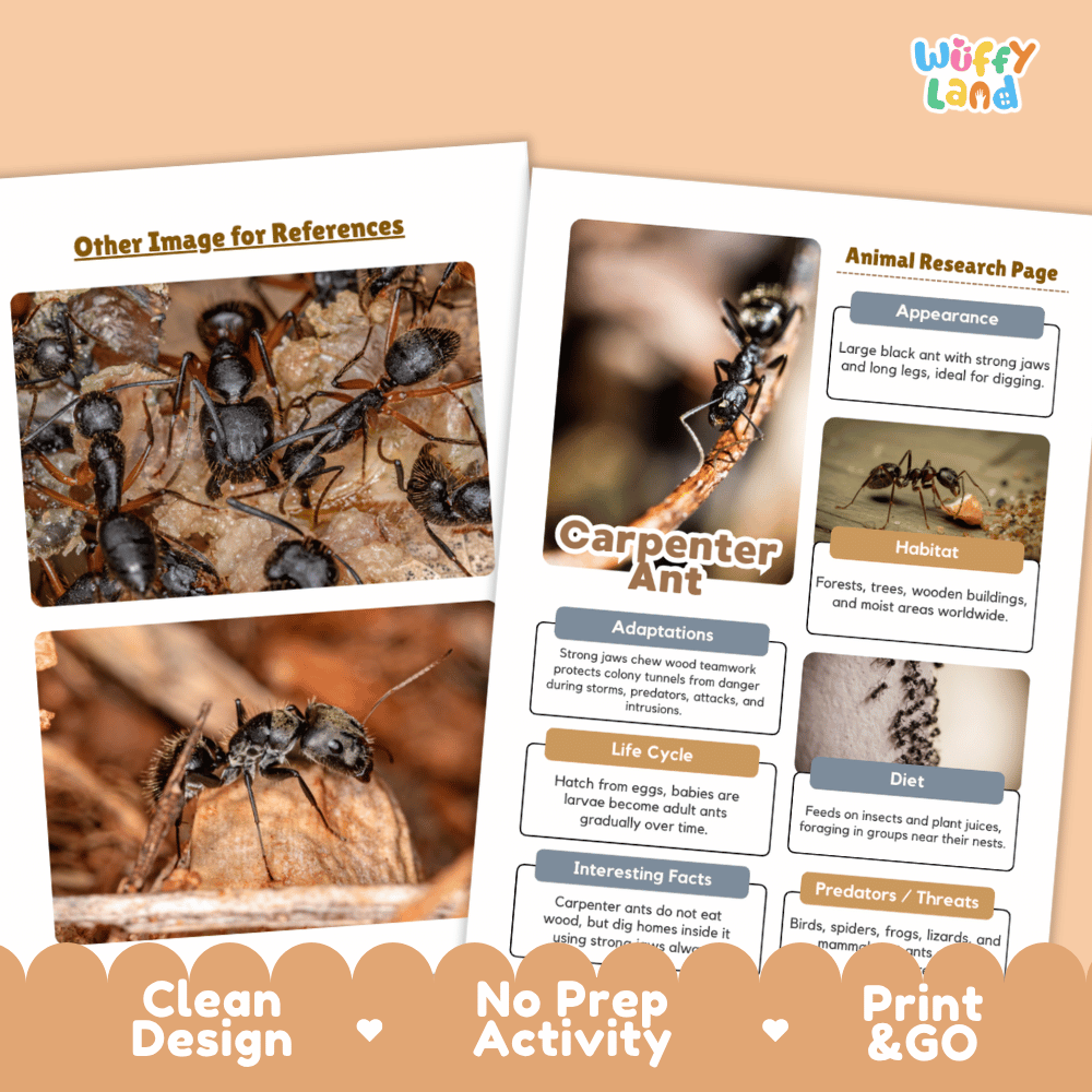 Carpenter Ant Animal Research Page and Worksheets