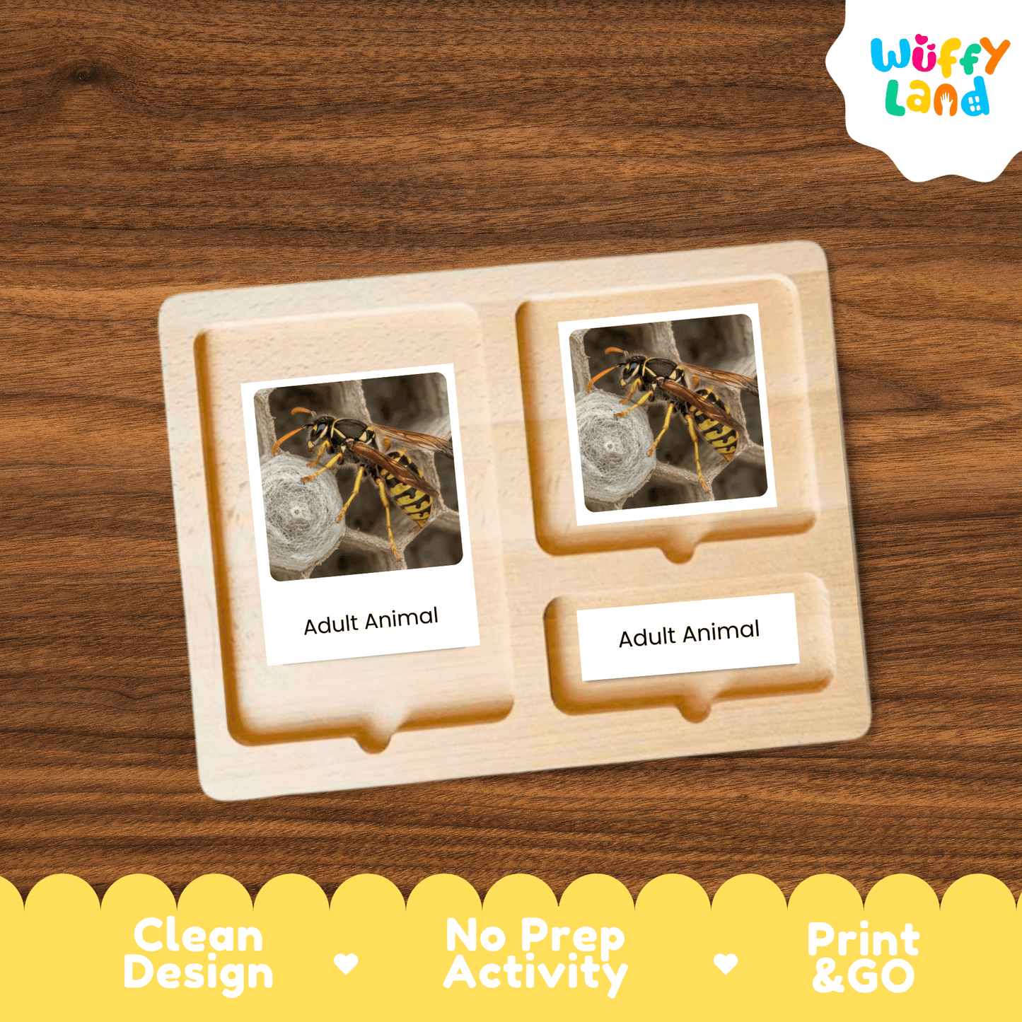Wasp Life Cycle Montessori 3-Part Cards - Science Zoology Flashcards