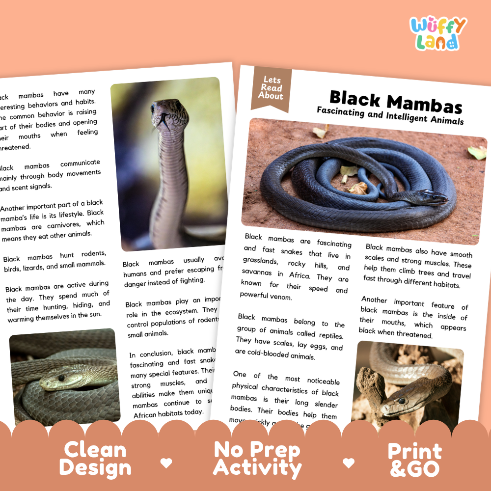 Black Mambas Reading Passage and Comprehension Questions Worksheets