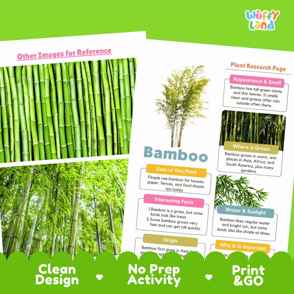Bamboo Plant Research Page Worksheets and Graphic Organizers
